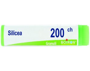 BO.SILICEA Dose  200CH