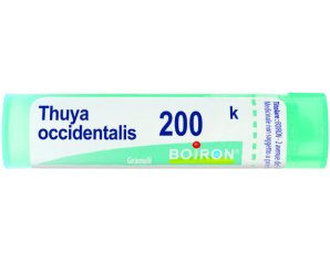 BO.THUYA OCC.Tubo 200K