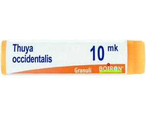 BO.THUYA OCC.Dose  XMK