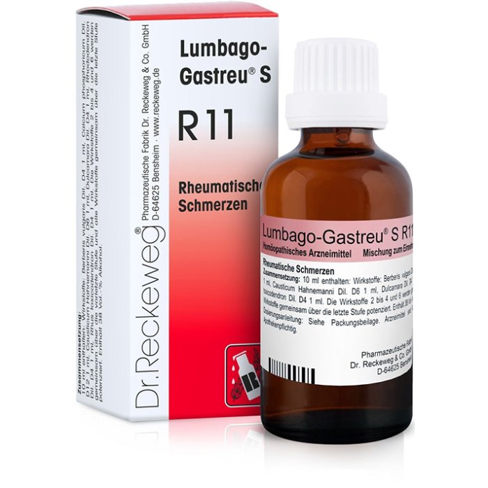 Dr.reckeweg & Co. Gmbh Reckeweg R11 Gocce 22ml Dr.reckeweg & Co. Gmbh Reckeweg R11 Gocce 22ml