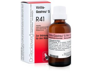 RECKEWEG R41 GOCCE 22ML