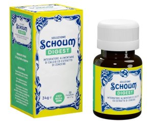 SOLUZIONE SCHOUM DIGEST 20FIZZ