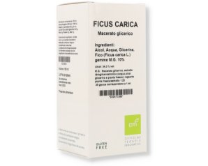 FICUS CARICA MG10% GOCCE 100ML