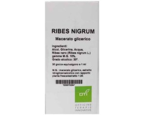 RIBES NIGRUM MG10% GOCCE 100ML