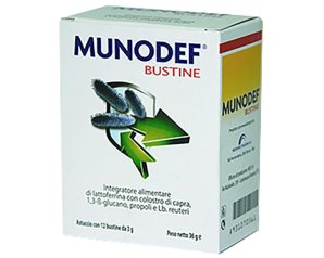 MUNODEF 12BUST