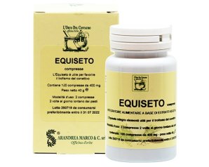 EQUISETO 400 MG 100CPR
