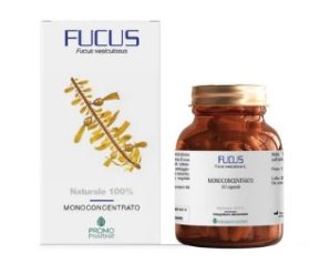 FUCUS 50CPS