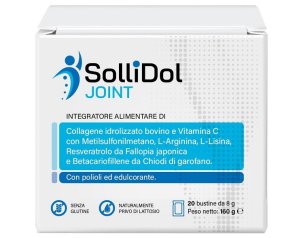 SOLLIDOL JOINT 20 Bust.8g