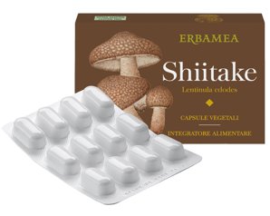 SHITAKE 24CPS VEGETALI ERBAMEA