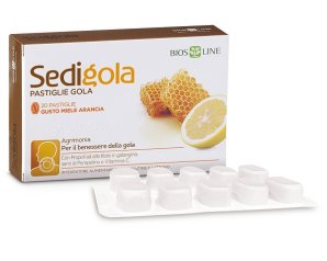 APIX SEDIGOLA MIELE ARA 20PAST