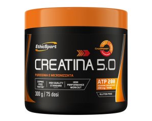 CREATINA 5.0 300G