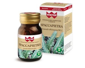WINTER Spaccapietra 30 Cpr