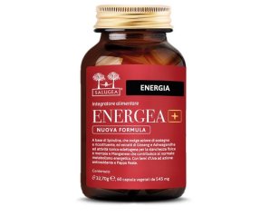 SALUGEA ENERGEA+ 60Cps