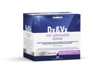 DX&VX Vie Urinarie D 28 Bust.