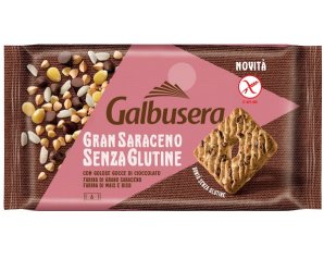 GRAN SARACENO BISCOTTO GTT CIO