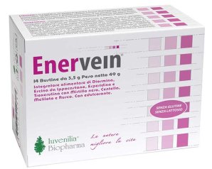 ENERVEIN 14 Bust.