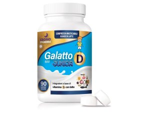GALATTO D*Junior 90Cpr mast.