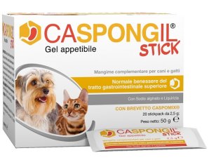 CASPONGIL STICK 20Stick Pack