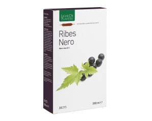 RIBES NERO BIO 20AB 15ML