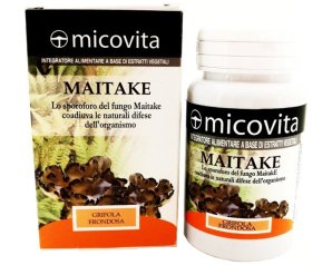MAITAKE FUNGO MICOVITA 60CPS
