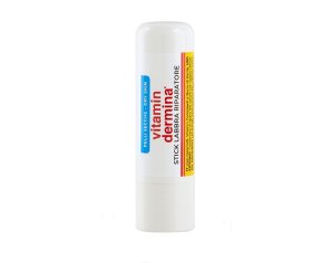 Vitamin Dermina Stick Labbra Riparatore 4,5 ml – nutriente e protettivo