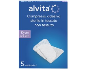 ALVITA GARZA ADES TNT 10X6 5PZ