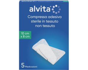 ALVITA GARZA ADES TNT 10X8 5PZ