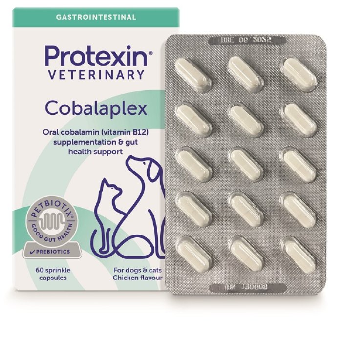 Cobalaplex 60 capsule - mangime complementare con vitamina B12 e acido folico per cani e gatti Cobalaplex 60 capsule - mangime complementare con vitamina B12 e acido folico per cani e gatti