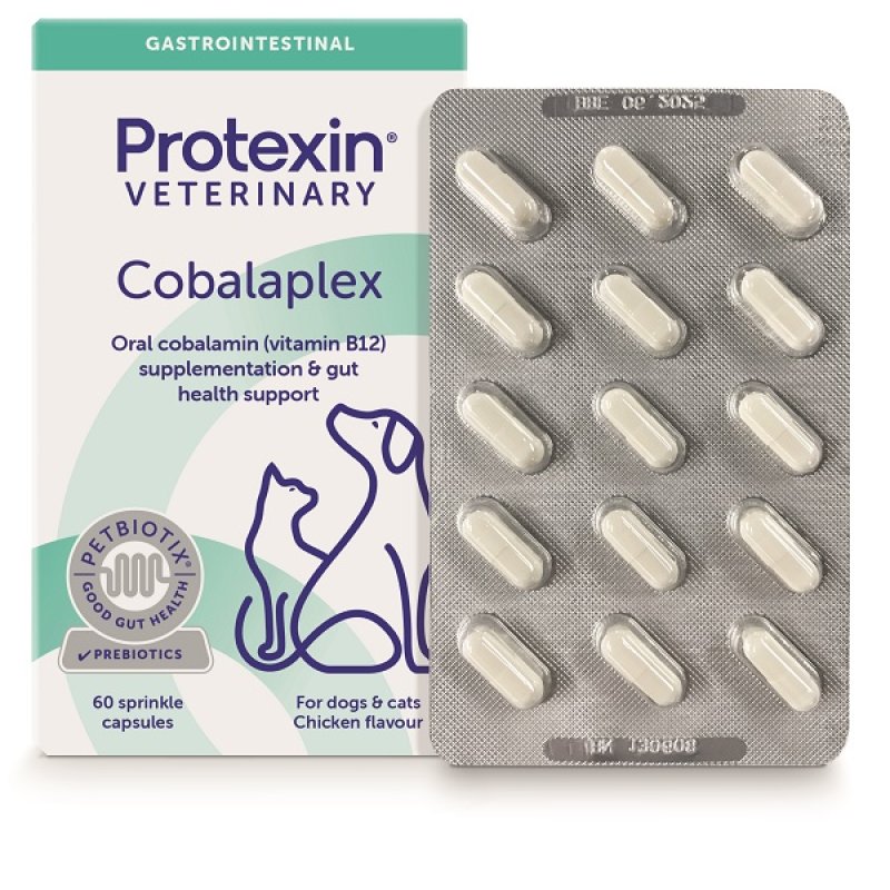 Cobalaplex 60 capsule - mangime complementare con vitamina B12 e acido folico per cani e gatti Cobalaplex 60 capsule - mangime complementare con vitamina B12 e acido folico per cani e gatti