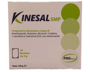 KINESAL SMP 14BUST