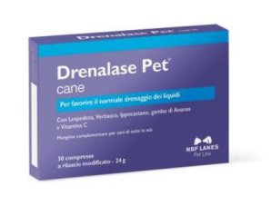 DRENALASE PET 20 CANE 20CPR