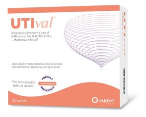 UTIVAL 28 Bust.