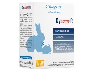 DYNAMO R 20STICK 2 5G