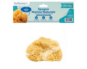 SPUGNA MARINA NATURALE MAXI SF+