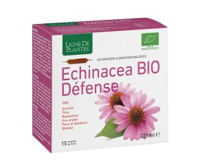 ECHINACEA BIO DEFENSE 15AMP 15