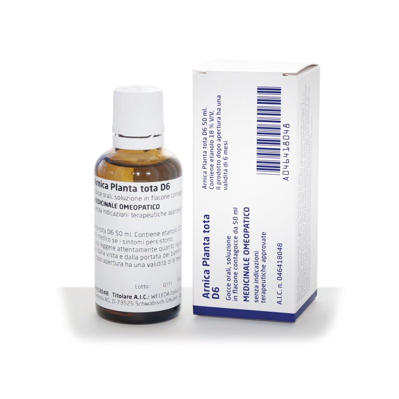 ARNICA PLANTA TOTA*D6 GTT 50ML ARNICA PLANTA TOTA*D6 GTT 50ML