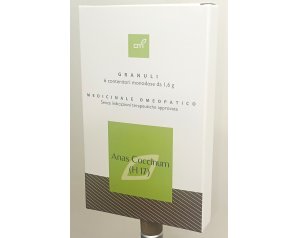 ANASCOCCINUM(HOLIS 17)6FL GRAN