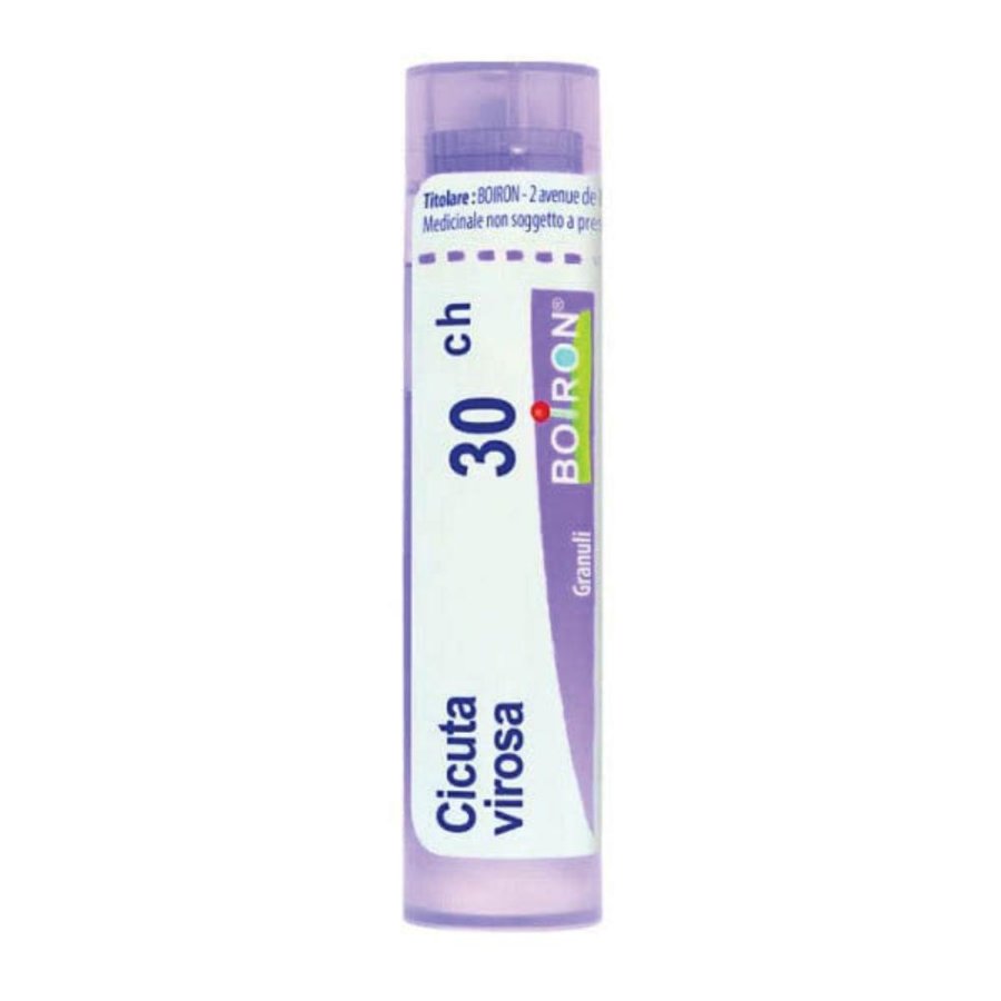 CICUTA VIROSA*30CH 80GR 4G CICUTA VIROSA*30CH 80GR 4G