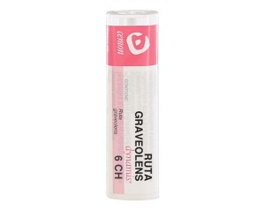 CME RUTA GRAV.Tubo  6CH