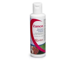 ZANCO*SH FL PE 200ML