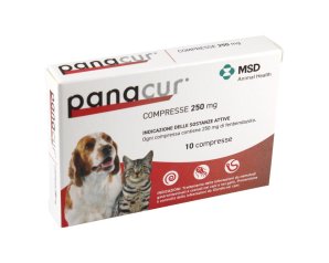 PANACUR*10CPR 250MG CAN/GAT GMM