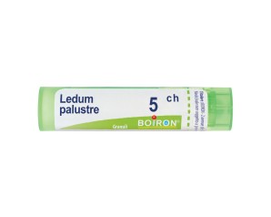 Boiron Ledum Palustre 5ch Gr