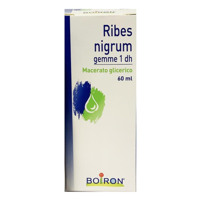 Boiron Ribes Nigrum Gemme 1DH Medicinale Omeopatico 60 ml Boiron Ribes Nigrum Gemme 1DH Medicinale Omeopatico 60 ml