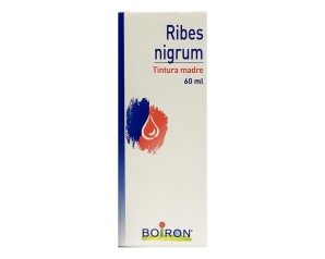 RIBES NIGRUM 60ML TM