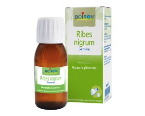 BO.RIBES NIGRUM 7CH TUBO