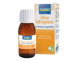 Boiron Echinacea Angust 4ch Gr