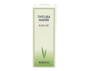 GINKGO BILOBA 125ML TM