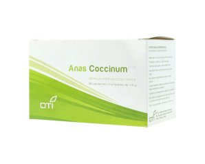 Oti Anas Coccinum H 17 30f Glo