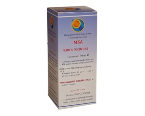 MSA Ribes Nigrum 50ml