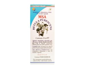 MSA BETULA PUBESCENS 50ML